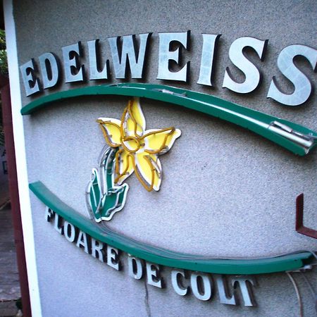 Pension Edelweiss Buitenkant foto